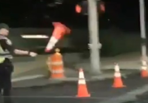 Seattle Cop Caught on Camera Nailing Traffic Cone Flip