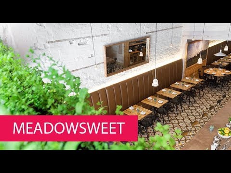 MEADOWSWEET - USA, NEW YORK