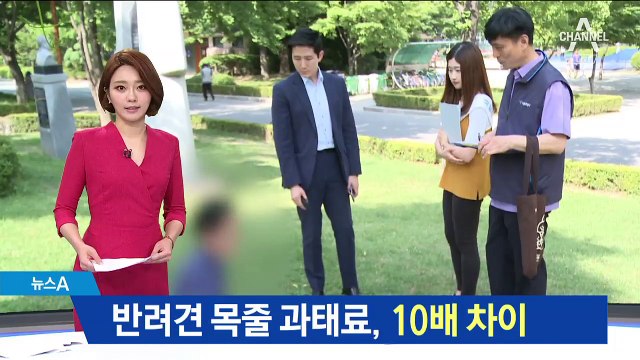 반려견 목줄 과태료 최대 10배 차이 ‘고무줄’