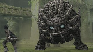L'épopée Shadow of the Colossus Remake #14