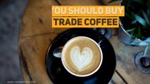 Best Organic Fair Trade Coffee
