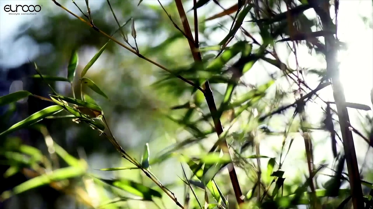 Visionnaire, leading brand in high-end made Italian interior design