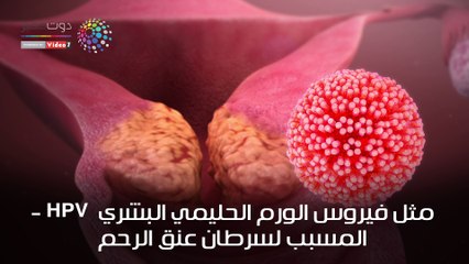 من هو العالم المصري عادل محمود الذي رثاه بيل جيتس؟