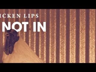 Chicken Lips - He Not In (Groove Armada's Dub Reconstruction)