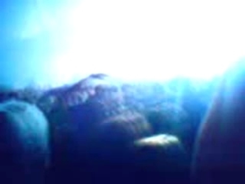 Boys noize @ transmusicales & down