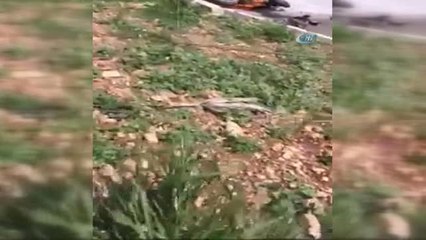 Antalya-Burdur Karayolunda Feci Kaza: 1 Ölü, 3 Yaralı