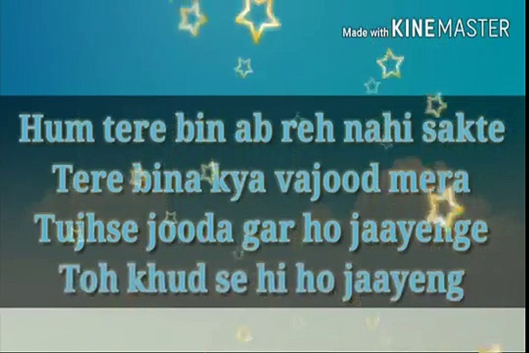 37.Female _hum tere bina ab rah nhi sakte( lyri...
