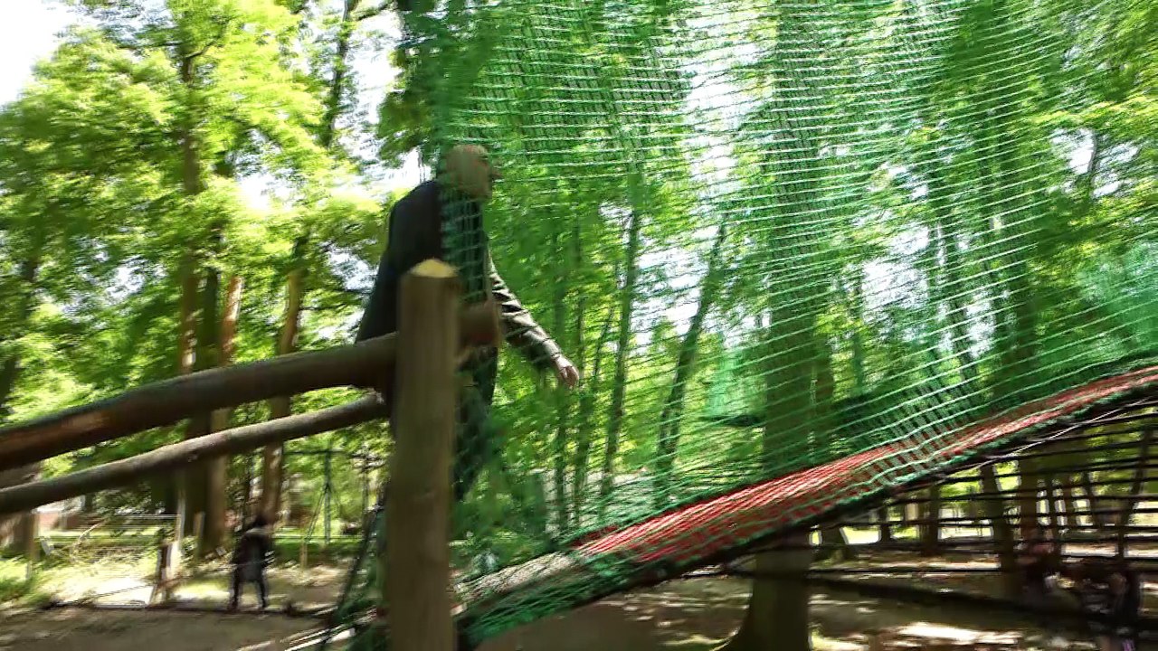 EXCLU AVANT-PREMIERE - Capital (M6): Découvrez les nouveautés mises en place par le zoo de Thoiry pour attirer de nouveaux visiteurs - VIDEO