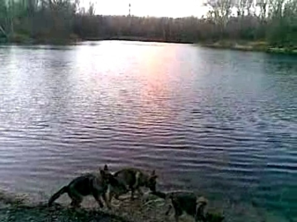 Wuslkompanie (Dechantlacke 27-11-2007)