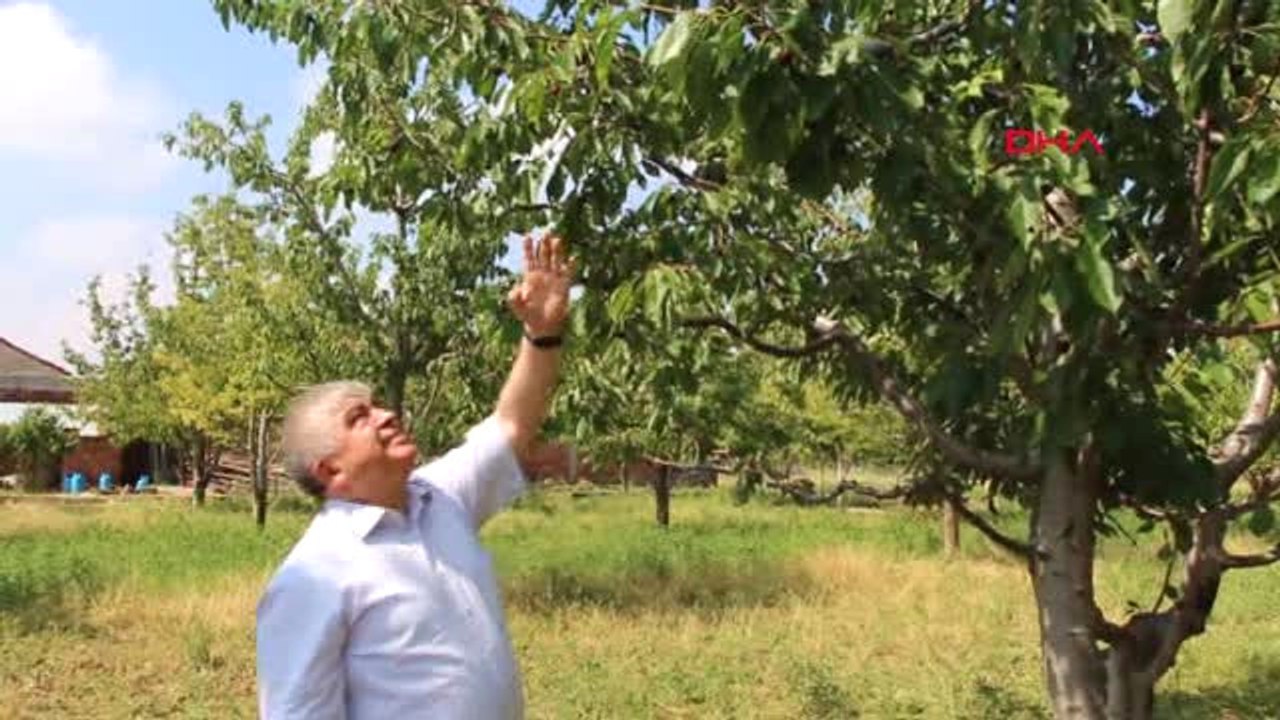 Burdur'da Dolu Ekili Arazileri Vurdu