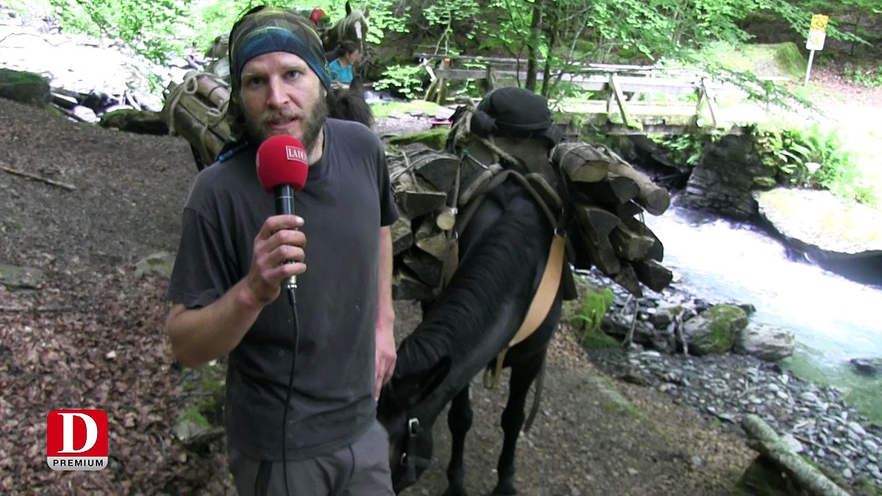 En Ariège, les muletiers ravitaillent les bergers en estive