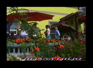 LJILjANA LJILJO  Pero i Žarko