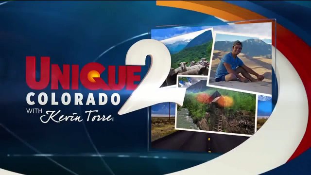 Rescued Kitten Who Distracted Deputy Now Up for Adoption