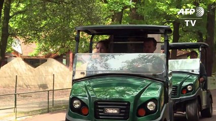 La Palmyre, un zoo investi dans la préservation des espèces