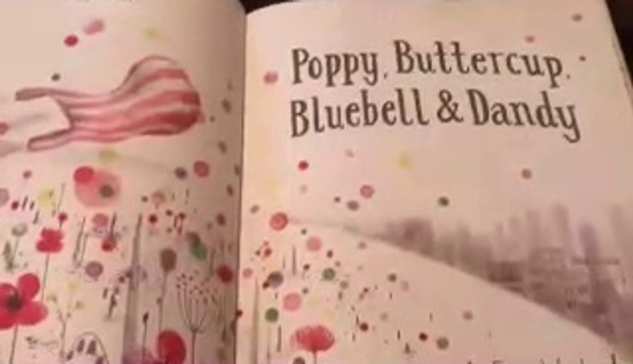 My  Fun Toys Story Telling Time / Reading  Poppy Buttercup / Learning With My Fun Toys