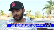 Mother, Toddler Attacked by Dogs While Walking in California Neighborhood