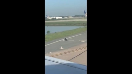 De leurs sièges des passagers ont aperçu un alligator sur le tarmac