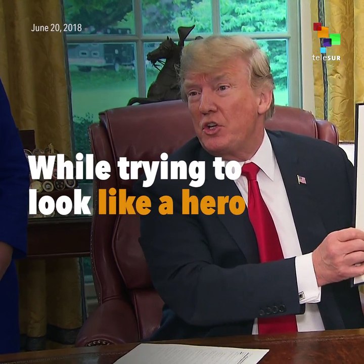 Does Trump's Executive Order Fix Anything?