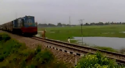 Ce pauvre cheval est poursuivi par un train