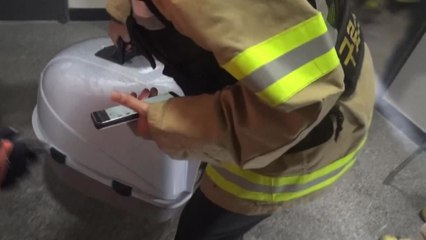 고양이, 전기레인지 건드려 화재 / YTN