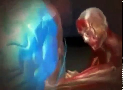 A Ciencia das Lutas - A Ciencia das Artes Marciais