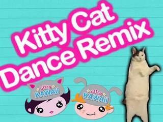 Kitty Cat Dance REMIX!