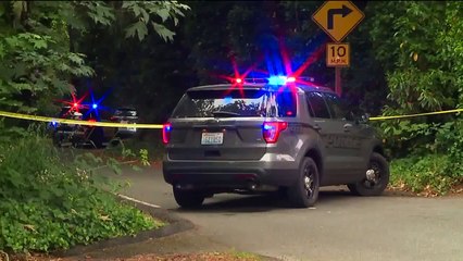 Father, 5-Year-Old Son in Genie Lift Shocked by Power Lines