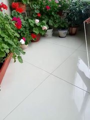 COLGADERO DE MACETAS