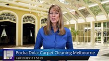 Pocka Dola: Carpet Cleaning Melbourne Meadow Heights Excellent Five Star Review by Chris Pickings