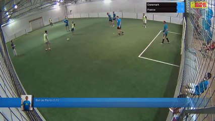 But de Flo G (1-1) - Danemark Vs France - 22/06/18 21:30 - CDM 2018 Poule C 22/06