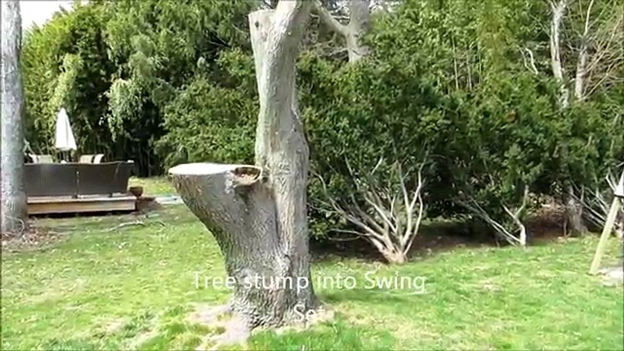 Swing set Build into a tree stump