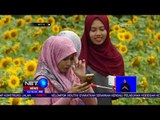 Taman Bunga Nawari Menawarkan Sensasi Berswafoto Ala Jepang -NET12