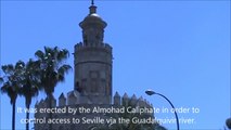 Malaga to Seville Views by Coach, and Gold Tower - Spain Holidays