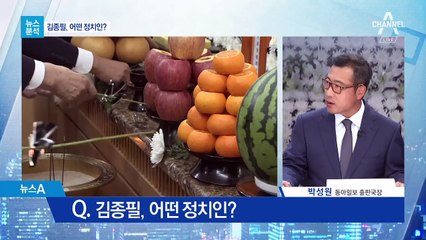 [뉴스분석]“서쪽 하늘을 물들이고…” 숱한 어록