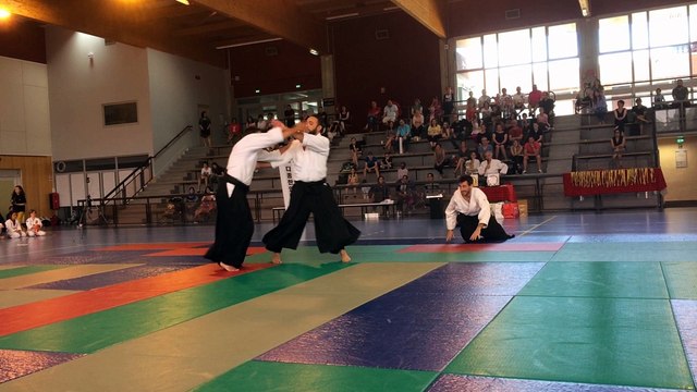 Démonstration d’arts martiaux à Talant