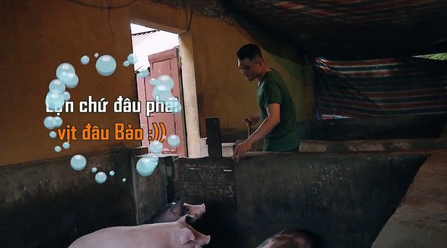 Hoàng Tôn vui vẻ tắm cho lợn trong Sao nhập ngũ