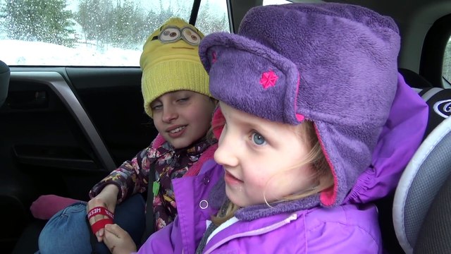 QUÉBEC J3 • Des chatons trop mignons et des vaches trop parfumées !! ) - Studio Bubble Tea