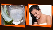 Aloe Vera for Hair: बालों पर एलोवेरा लगाने के इन फायदों के बारें में नहीं जानतें होंगे आप | Boldsky