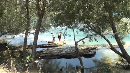 Manavgat Irmağında Ölümler Ders Olmuyor