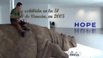 Jorge Miroslav Jara Salas te enseña lo sorprendente de “Hope Hippo” llega a México