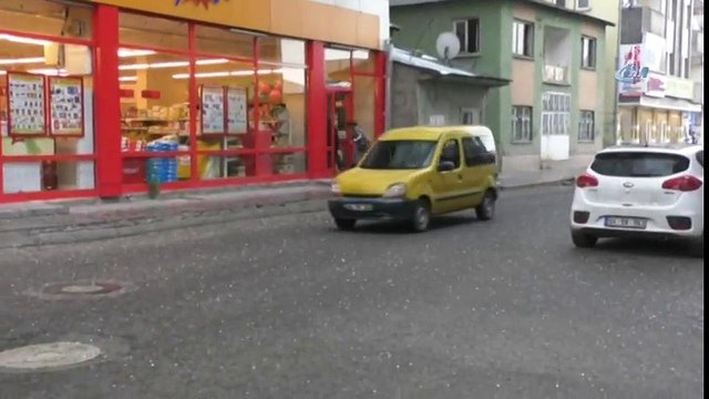 Dolu yağışı Ağrı’yı beyaza bürüdü iha