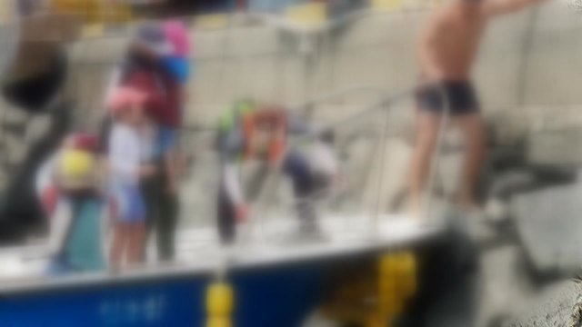 태안 해수욕장에서 4명 너울성 파도에 휩쓸려 구조 / YTN