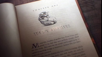 Fantastic Beasts The Crimes of Grindelwald (2018)#2 International Movies Trailers