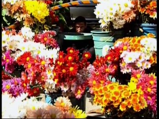 Os Mutantes Capítulo 67