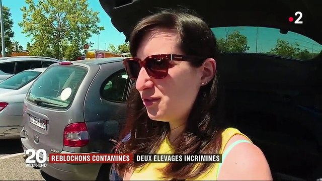 Reblochons contaminés : deux élevages de Haute-Savoie incriminés