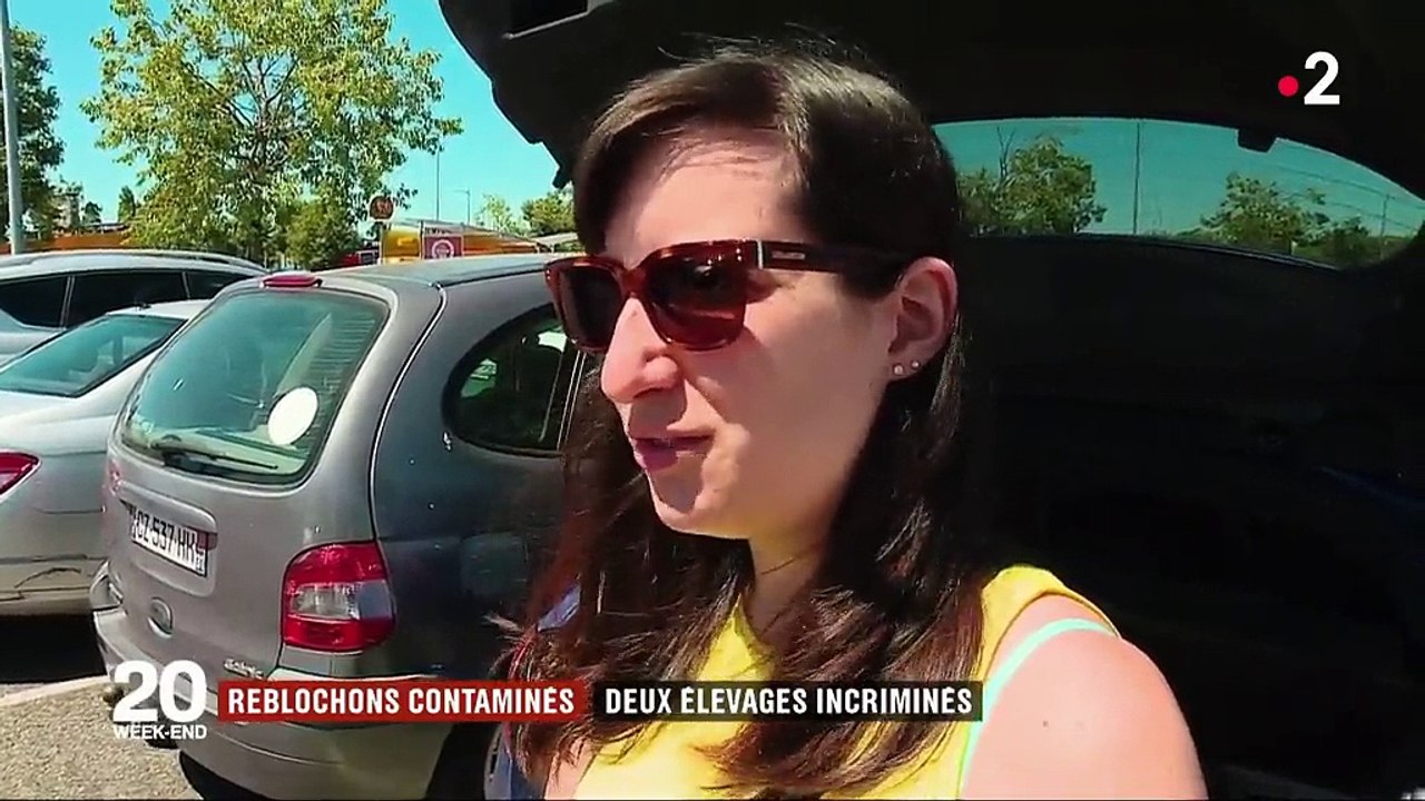 Reblochons contaminés : deux élevages de Haute-Savoie incriminés