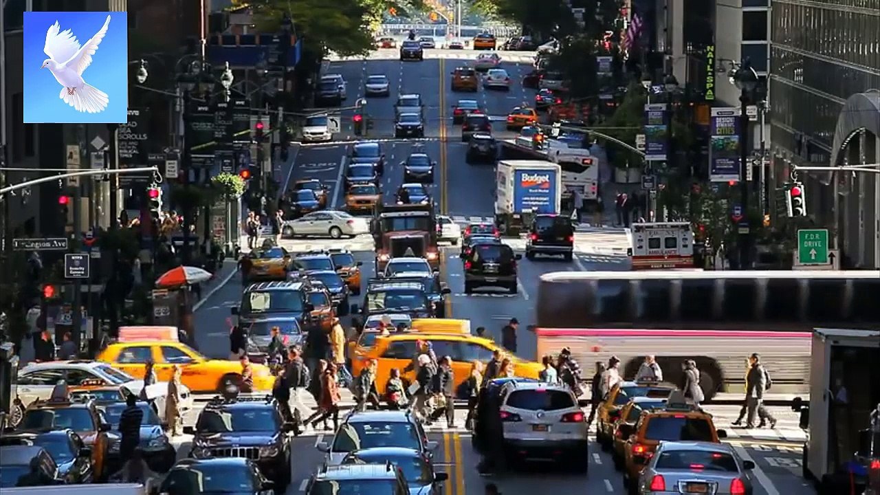 Preguntas y Respuestas Clave para Niños Migrantes en Estados Unidos