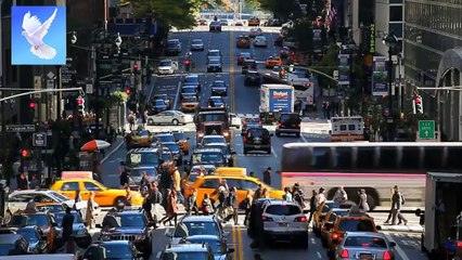 Preguntas y Respuestas Clave para Niños Migrantes en Estados Unidos