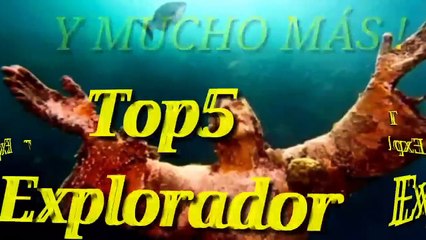 Gente con mucha suerte - Momentos Increíbles_HD