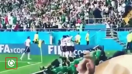 Los mejores Festejos de Mexicanos Corea vs México
